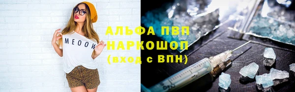 a pvp Новодвинск