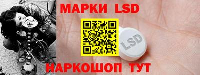 кокс Гатчина