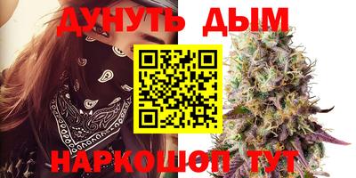 apvp Гагарин