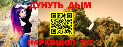 кокс Гатчина