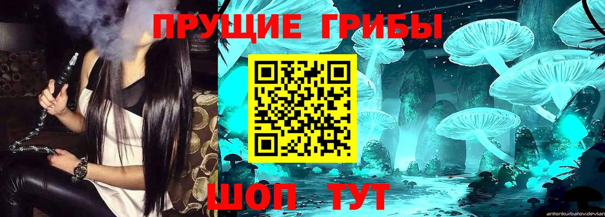 Галлюциногенные грибы GOLDEN TEACHER  Псилоцибиновые грибы MAGIC MUSHROOMS  цены   Назрань 