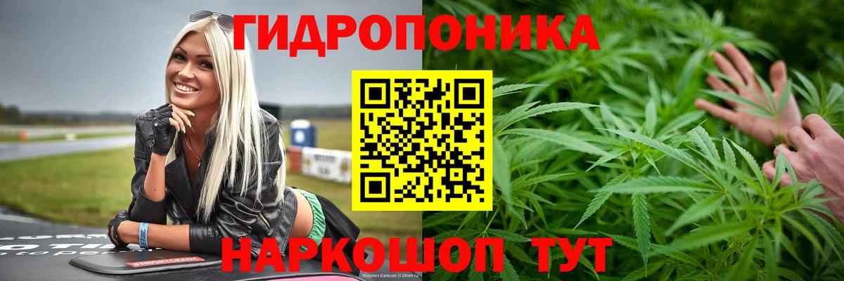 МАРИХУАНА конопля  Бошки Шишки Amnesia  Назрань  Вход с VPN  Бошки марихуана марихуана 